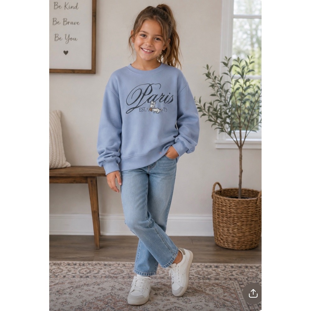 Zara Kids Light Blue Paris Graphic Sweatshirt Dog Croissant Size 8-9